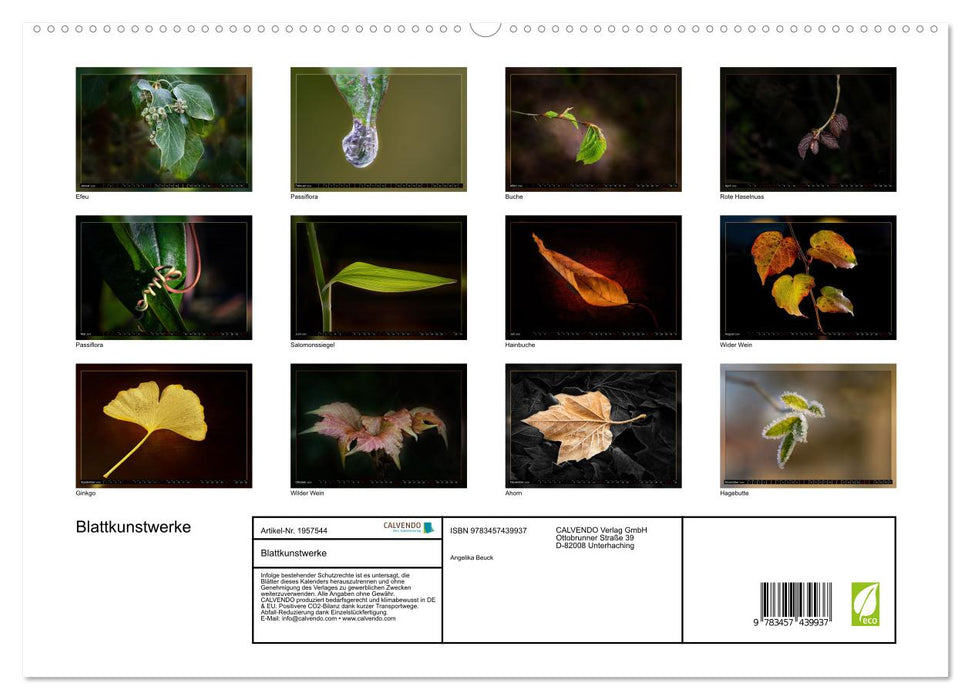 Blattkunstwerke (CALVENDO Premium Wandkalender 2026)