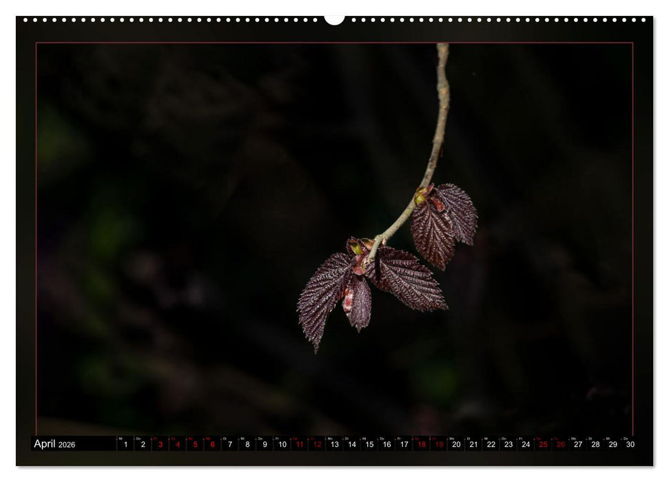 Blattkunstwerke (CALVENDO Premium Wandkalender 2026)