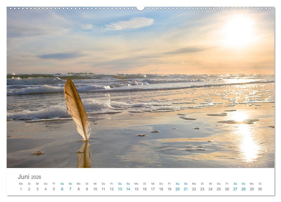 Jütlands Norden - Willkommen im Land des Lichts (CALVENDO Premium Wandkalender 2026)