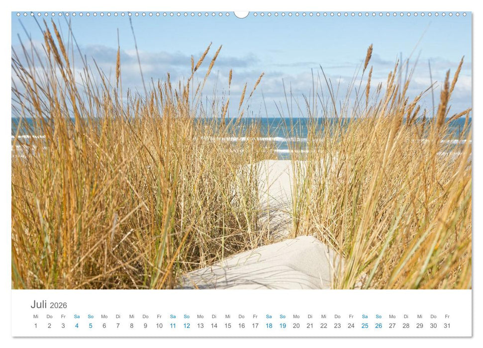 Jütlands Norden - Willkommen im Land des Lichts (CALVENDO Premium Wandkalender 2026)