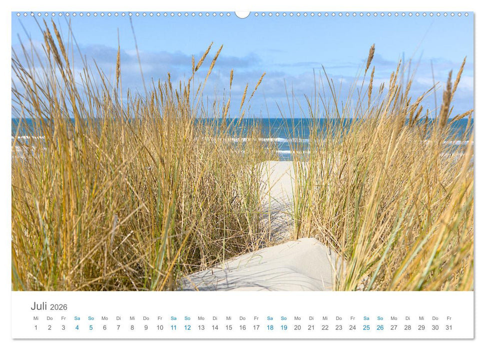 Jütlands Norden - Willkommen im Land des Lichts (CALVENDO Premium Wandkalender 2026)