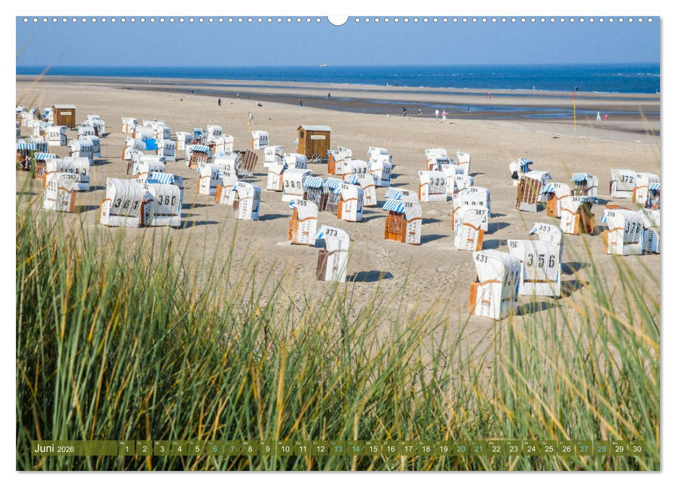 Moin Spiekeroog (CALVENDO Premium Wandkalender 2026)