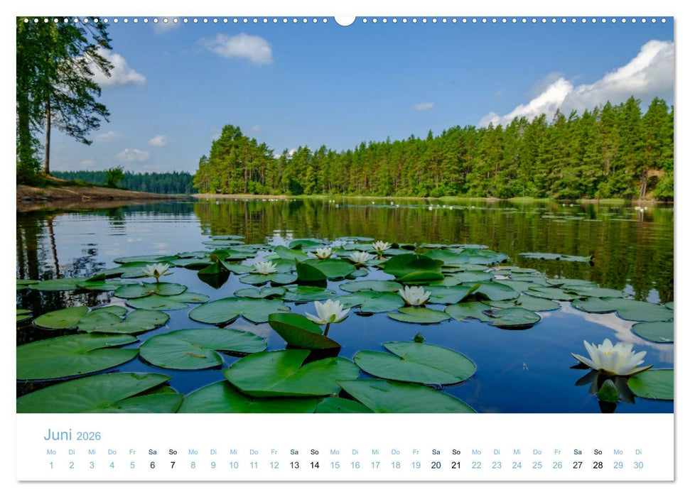 Schwedens Seen (CALVENDO Premium Wandkalender 2026)