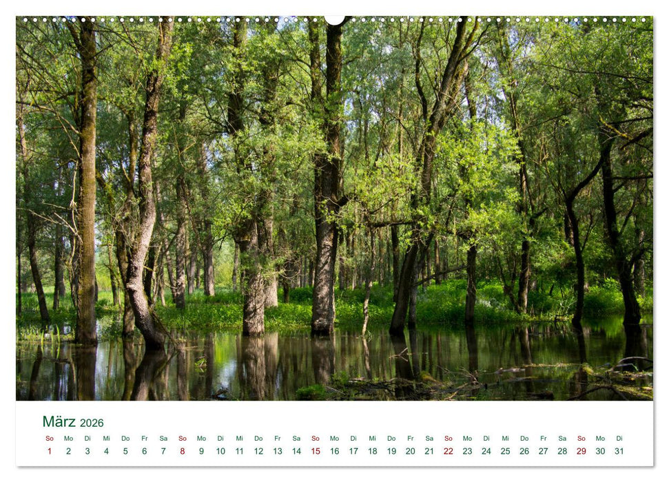 Österreichs Donau (CALVENDO Premium Wandkalender 2026)