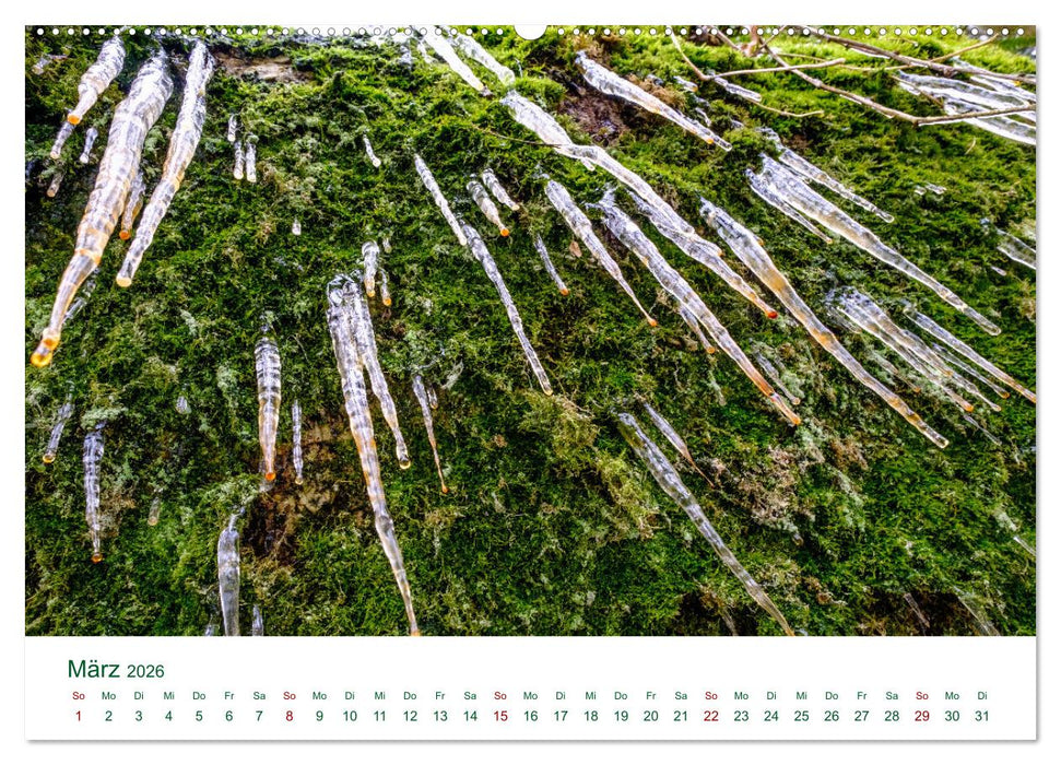 Feldaisttal bei Pregarten (CALVENDO Premium Wandkalender 2026)