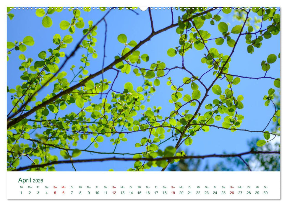 Feldaisttal bei Pregarten (CALVENDO Premium Wandkalender 2026)