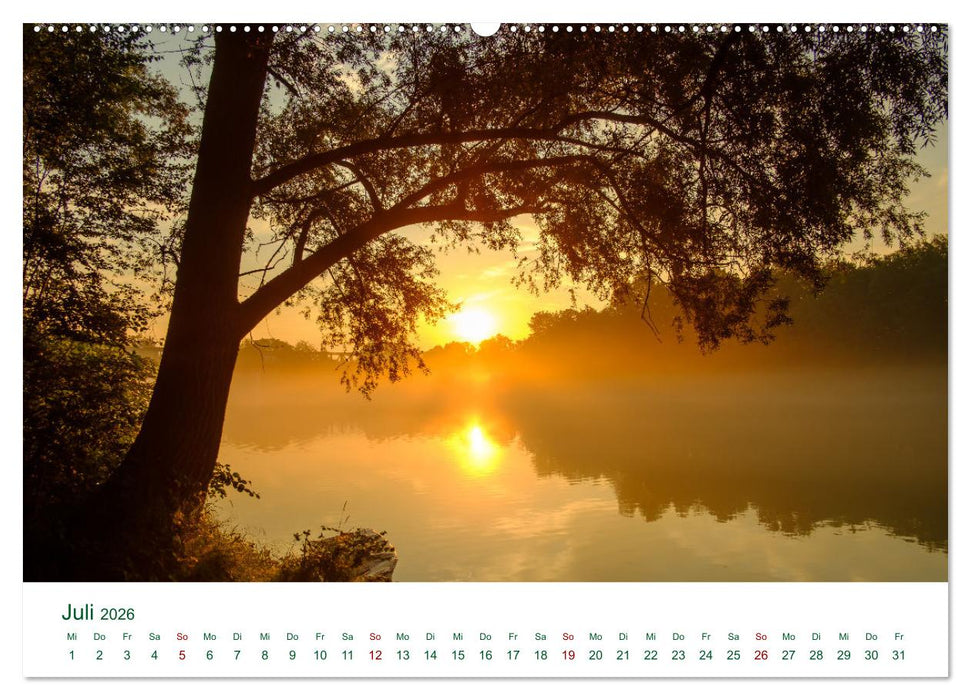 Auwälder bei Enns (CALVENDO Premium Wandkalender 2026)