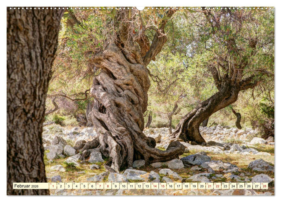 Kroatien - Streifzüge durch atemberaubende Kulturlandschaften (CALVENDO Premium Wandkalender 2026)