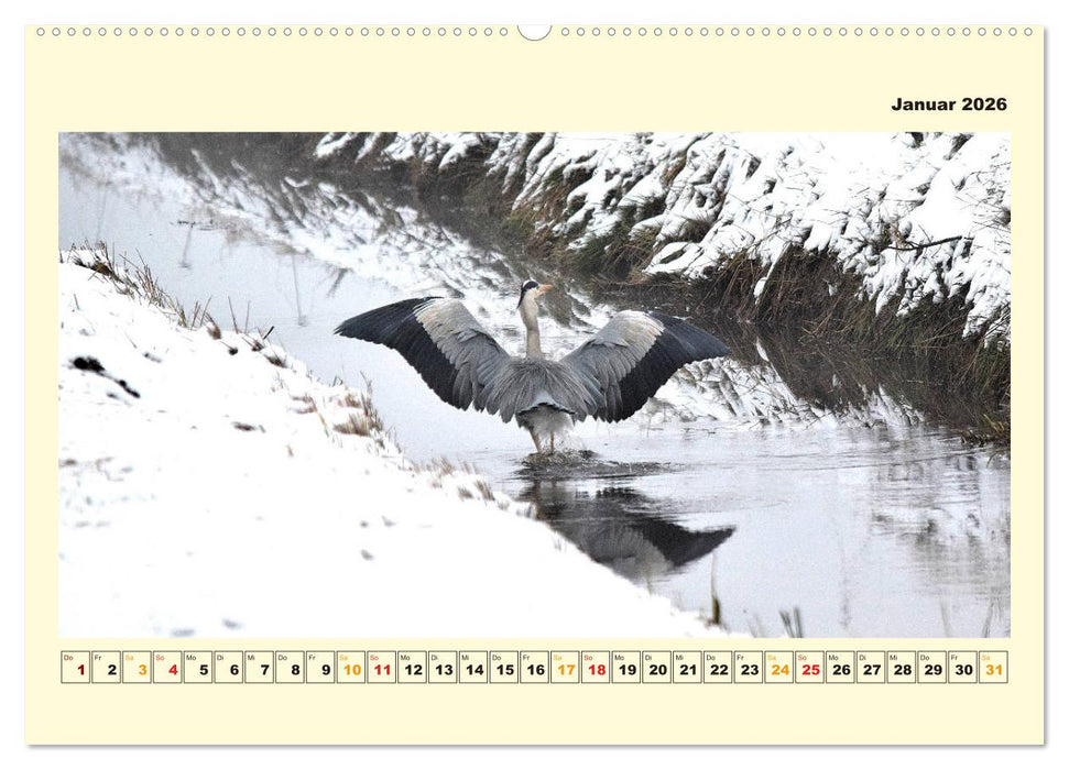 Unser Land im Norden (CALVENDO Premium Wandkalender 2026)