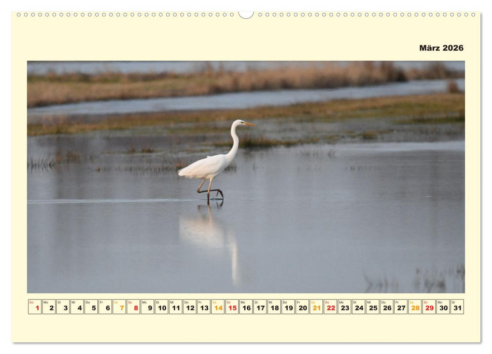 Unser Land im Norden (CALVENDO Premium Wandkalender 2026)