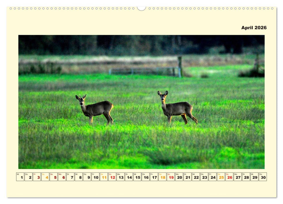 Unser Land im Norden (CALVENDO Premium Wandkalender 2026)