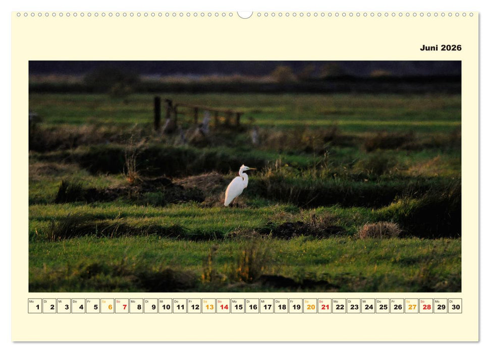 Unser Land im Norden (CALVENDO Premium Wandkalender 2026)