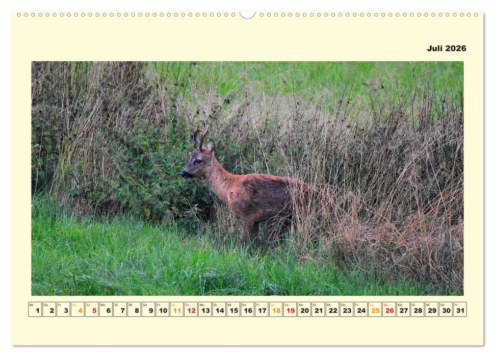 Unser Land im Norden (CALVENDO Premium Wandkalender 2026)