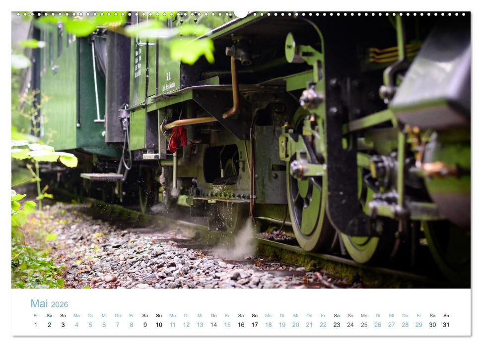 Steyrtalbahn (CALVENDO Premium Wandkalender 2026)