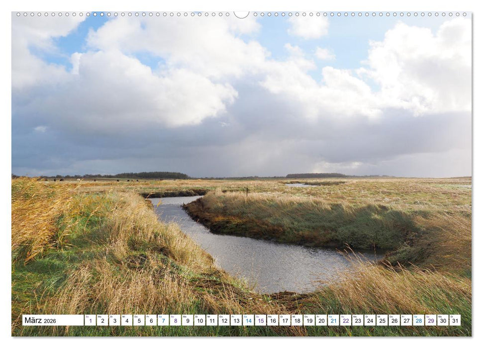 Föhr - Wasser Landschaft Wind und Meer (CALVENDO Premium Wandkalender 2026)