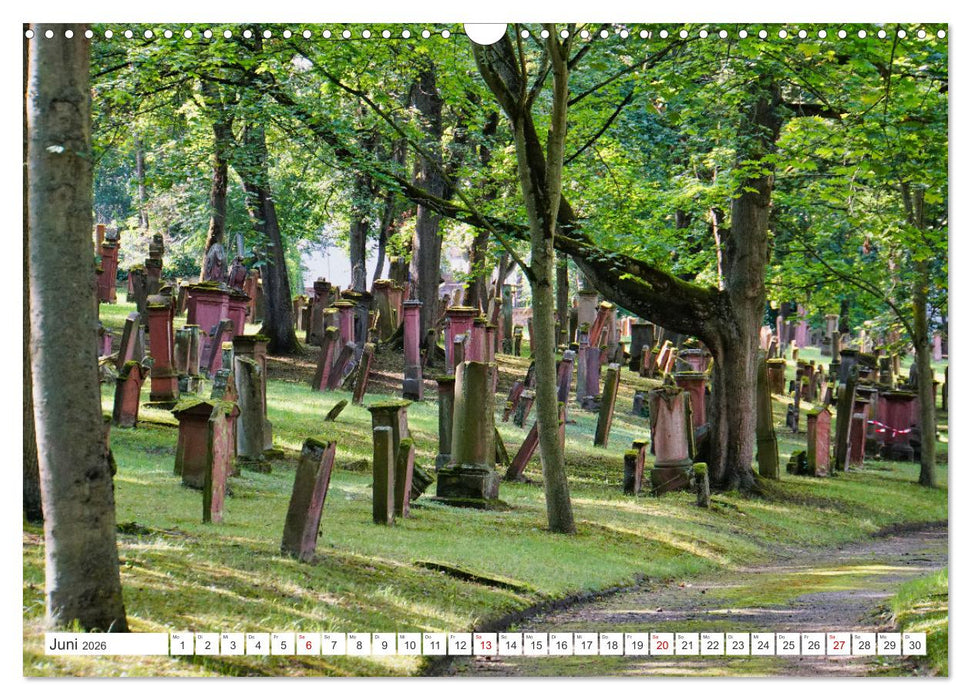 Die SchUM Städte Speyer, Worms, Mainz (CALVENDO Wandkalender 2026)