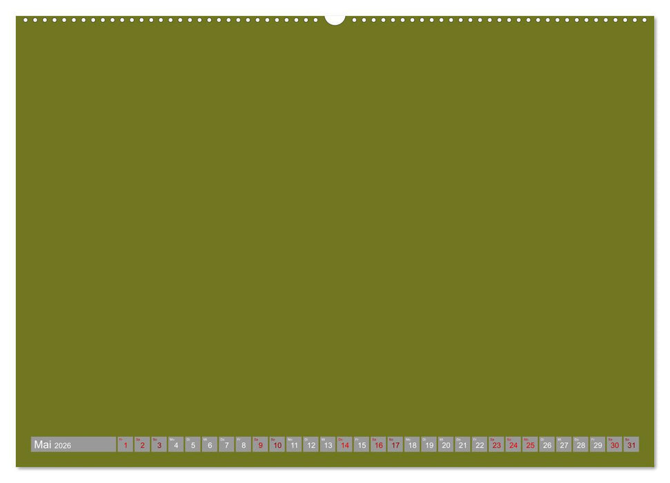 Erlebe mit mir deine bunte Kreativität (CALVENDO Premium Wandkalender 2026)