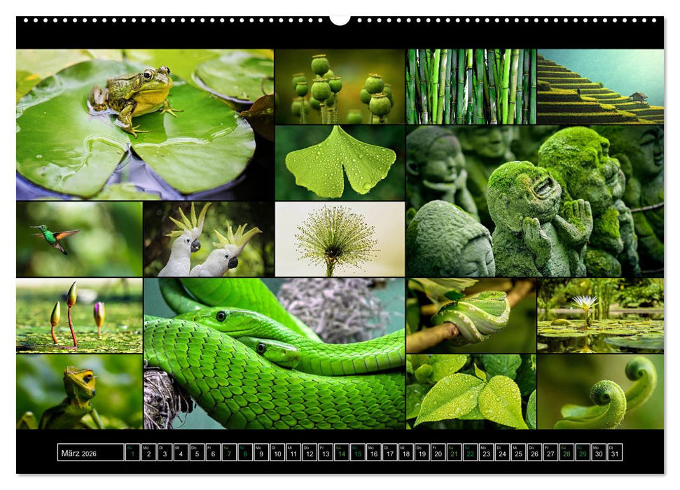 Farbsymphonien der Erde (CALVENDO Premium Wandkalender 2026)