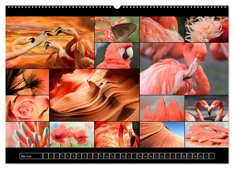 Farbsymphonien der Erde (CALVENDO Premium Wandkalender 2026)