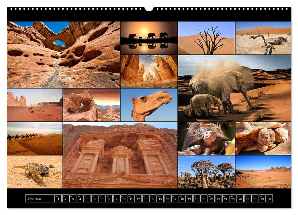 Farbsymphonien der Erde (CALVENDO Premium Wandkalender 2026)