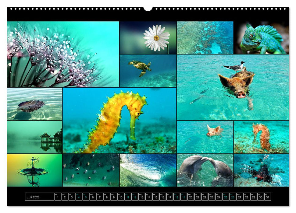 Farbsymphonien der Erde (CALVENDO Premium Wandkalender 2026)