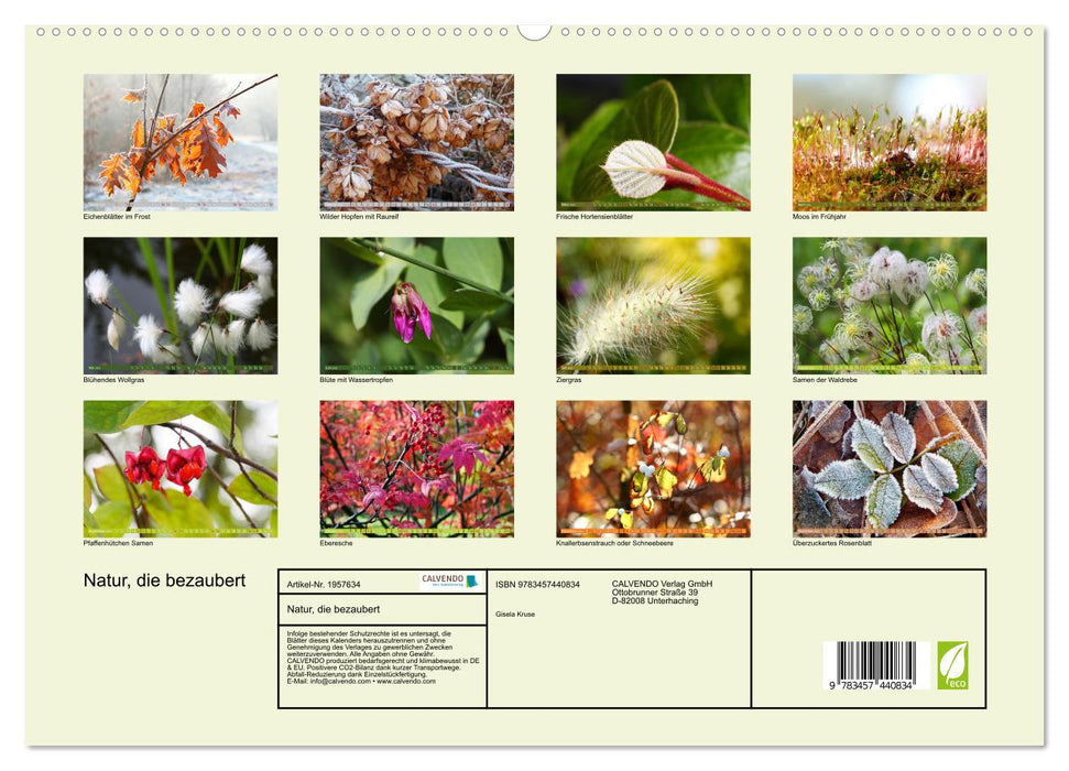 Natur, die bezaubert (CALVENDO Premium Wandkalender 2026)