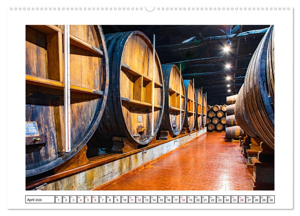 Porto - Stadt am Rio Douro (CALVENDO Premium Wandkalender 2026)