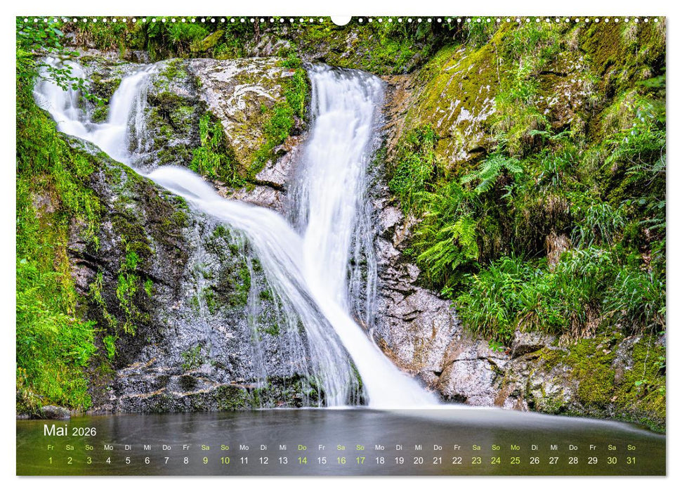 Idyllische Wasserwelten (CALVENDO Wandkalender 2026)