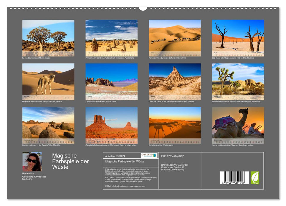 Magische Farbspiele der Wüste (CALVENDO Premium Wandkalender 2026)