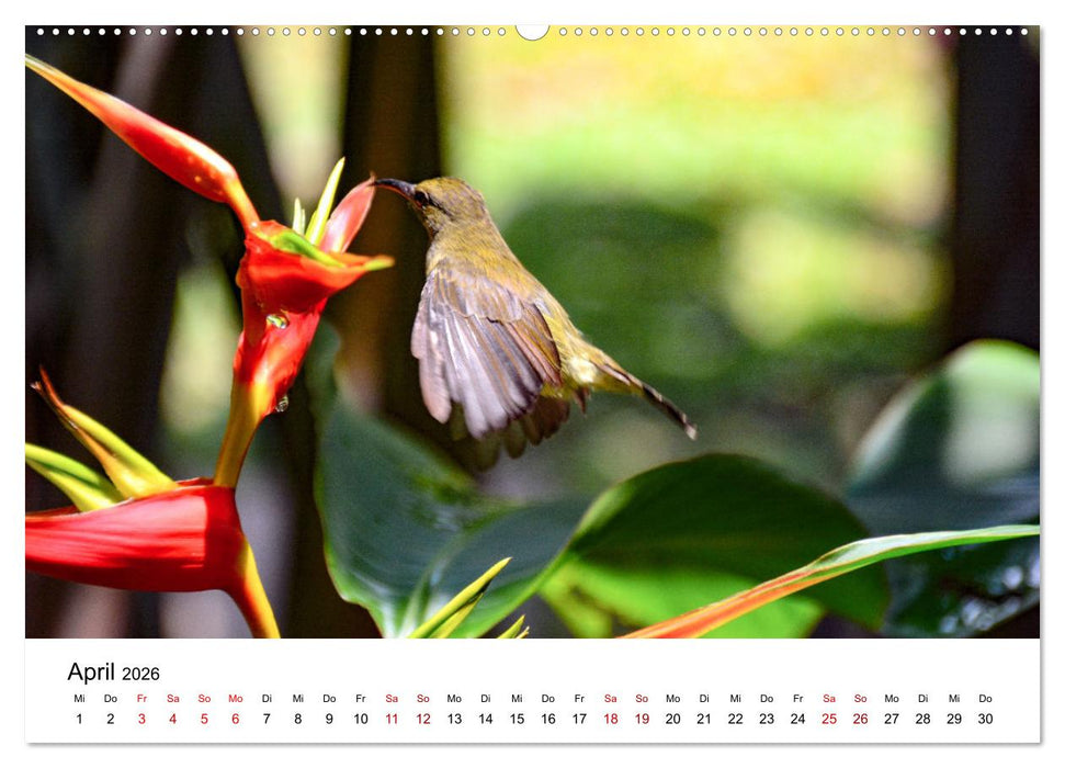 Singapur - Die Stadt am Puls der Zeit. (CALVENDO Premium Wandkalender 2026)