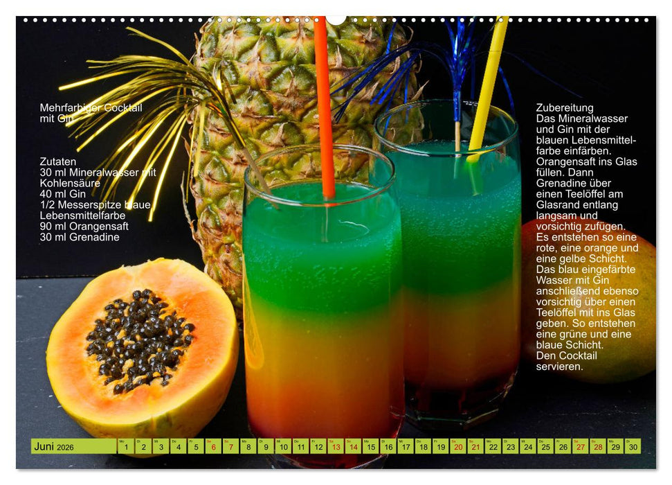 Faszination Gin Cocktails (CALVENDO Premium Wandkalender 2026)