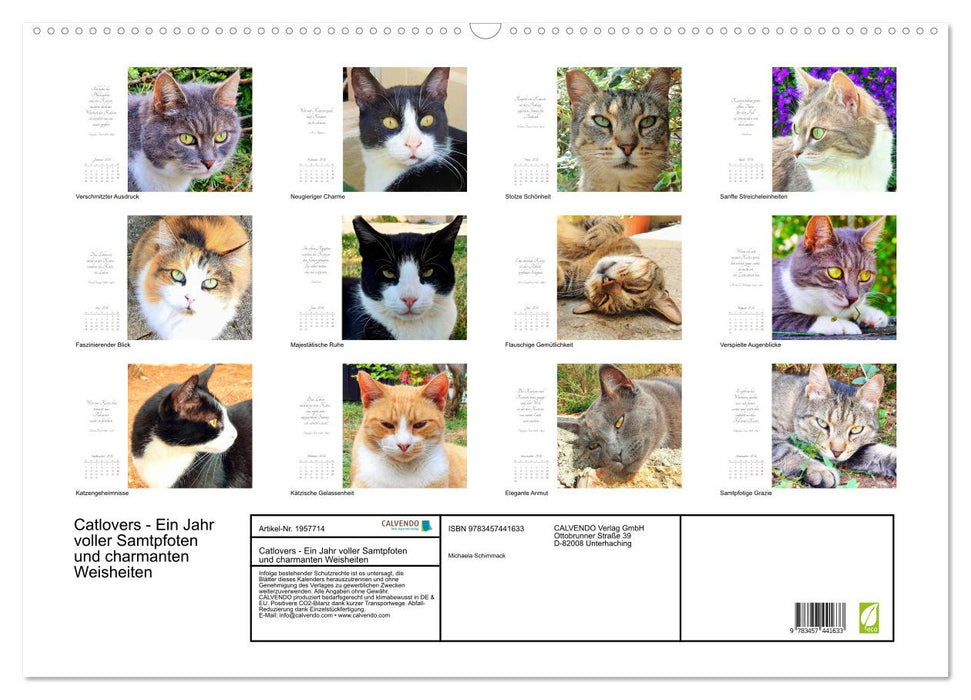 Catlovers - Ein Jahr voller Samtpfoten und charmanten Weisheiten (CALVENDO Wandkalender 2026)