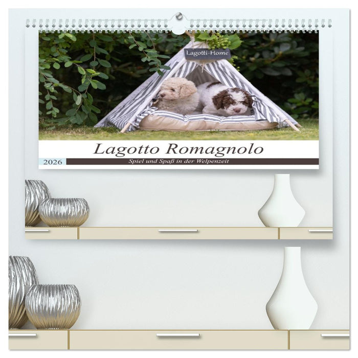 Lagotto Romagnolo - Spiel und Spaß in der Welpenzeit (CALVENDO Premium Wandkalender 2026)