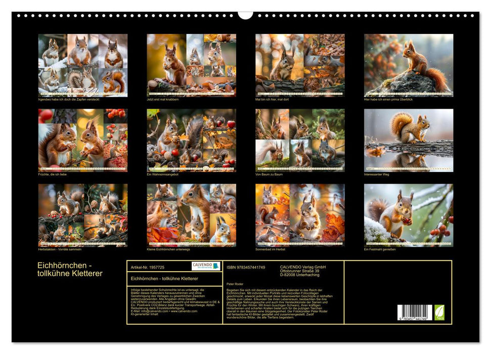 Eichhörnchen - tollkühne Kletterer (CALVENDO Wandkalender 2026)