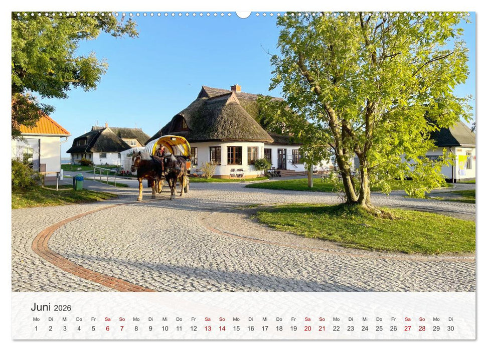 Natürliches Rügen und Hiddensee (CALVENDO Premium Wandkalender 2026)