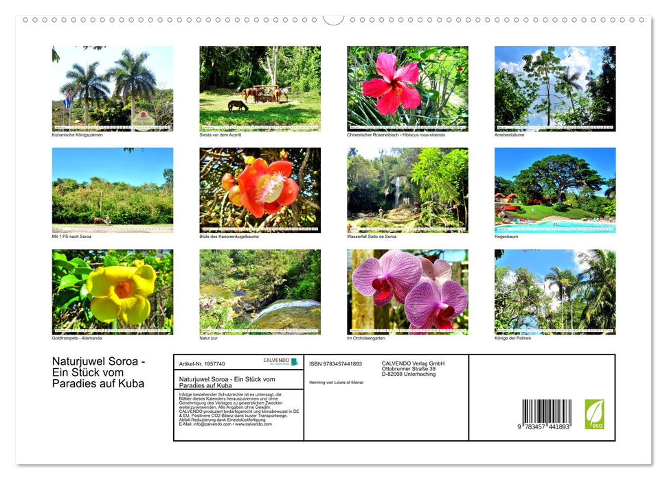 Naturjuwel Soroa - Ein Stück vom Paradies auf Kuba (CALVENDO Premium Wandkalender 2026)