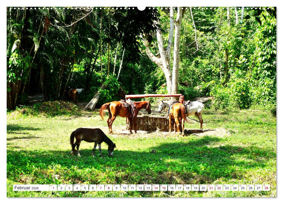 Naturjuwel Soroa - Ein Stück vom Paradies auf Kuba (CALVENDO Premium Wandkalender 2026)
