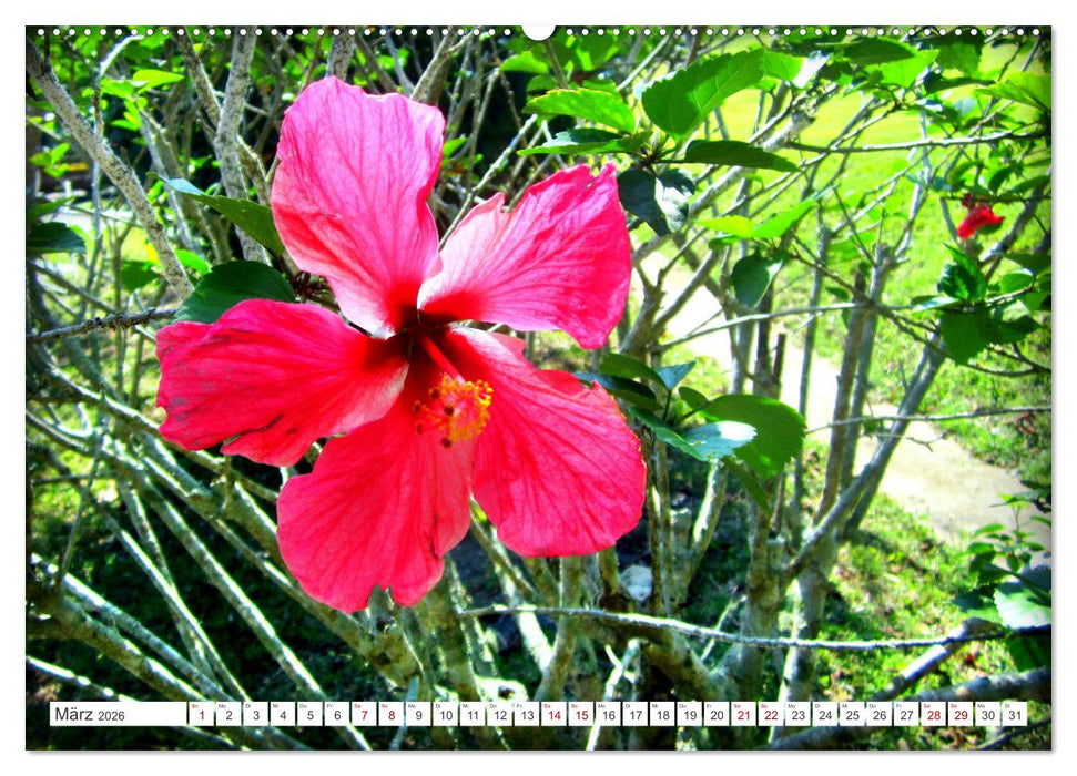 Naturjuwel Soroa - Ein Stück vom Paradies auf Kuba (CALVENDO Premium Wandkalender 2026)