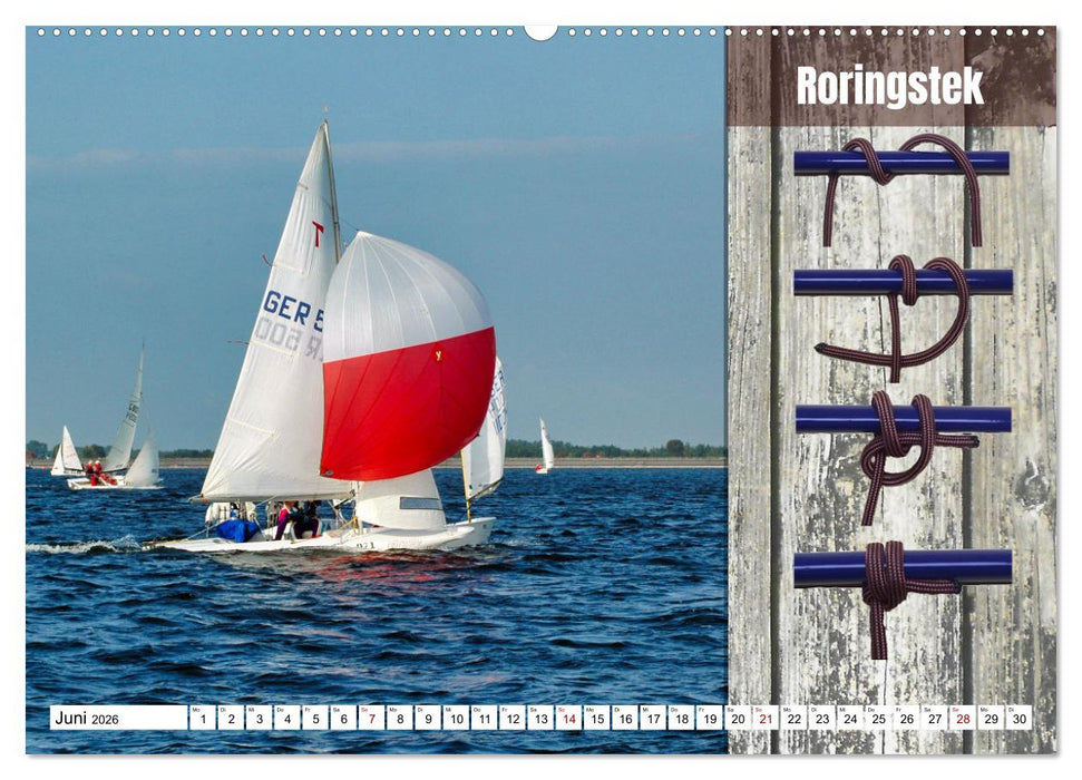 Schnittige Jollen - wichtige Knoten (CALVENDO Wandkalender 2026)