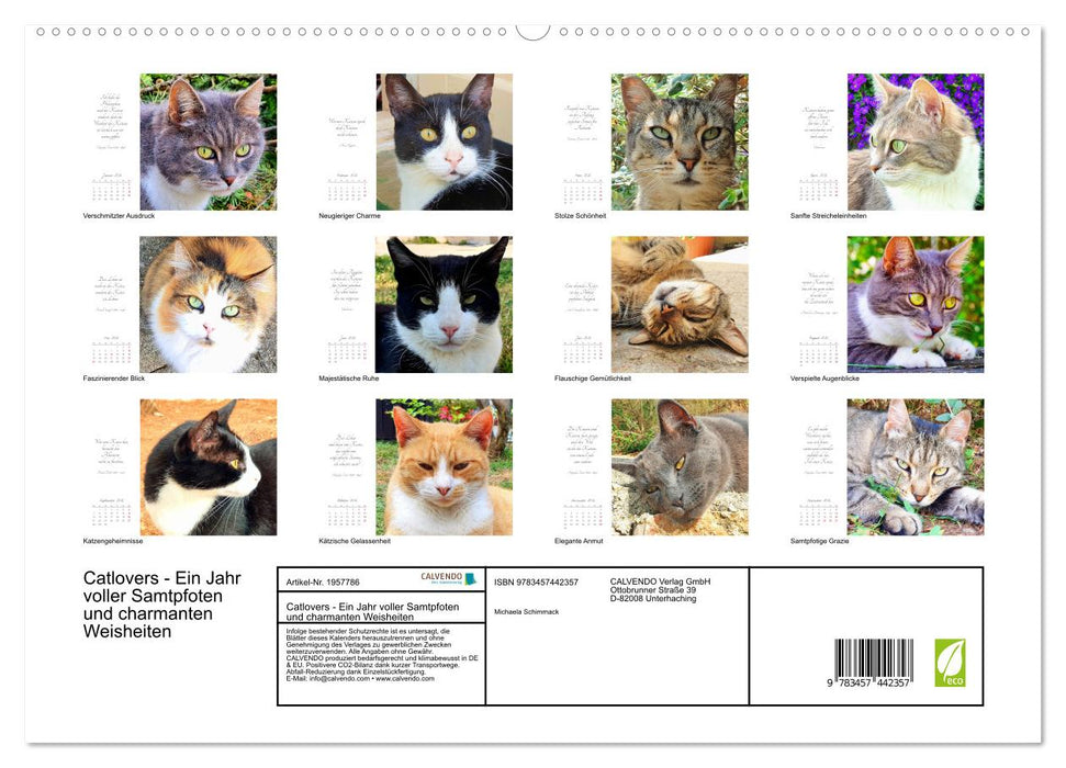 Catlovers - Ein Jahr voller Samtpfoten und charmanten Weisheiten (CALVENDO Premium Wandkalender 2026)