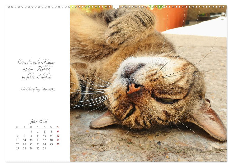 Catlovers - Ein Jahr voller Samtpfoten und charmanten Weisheiten (CALVENDO Premium Wandkalender 2026)
