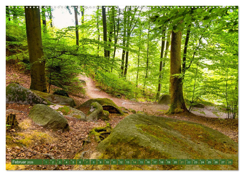 Das Felsenmeer - Natur pur im Odenwald (CALVENDO Premium Wandkalender 2026)