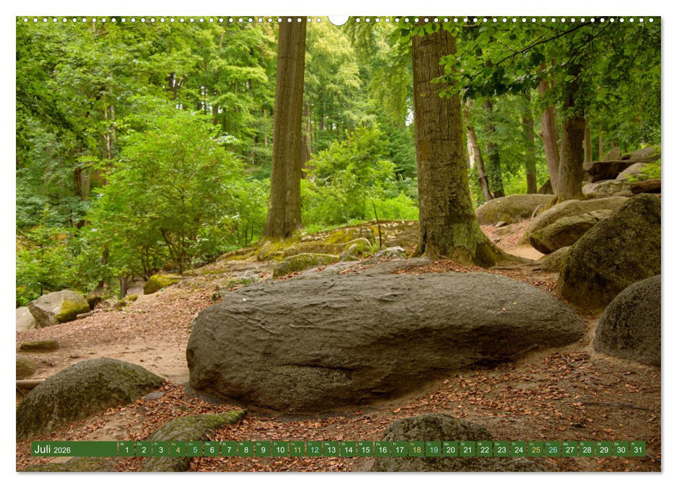Das Felsenmeer - Natur pur im Odenwald (CALVENDO Premium Wandkalender 2026)