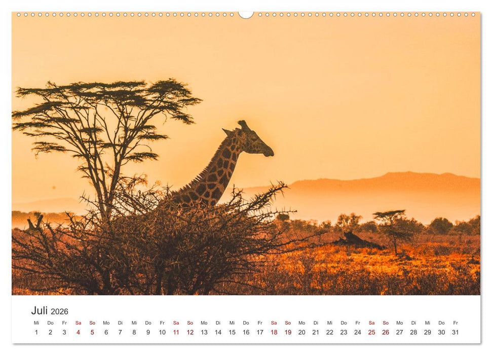 Kenia - Eine Safari durch unberührte Natur. (CALVENDO Premium Wandkalender 2026)
