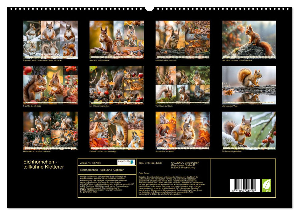 Eichhörnchen - tollkühne Kletterer (CALVENDO Premium Wandkalender 2026)