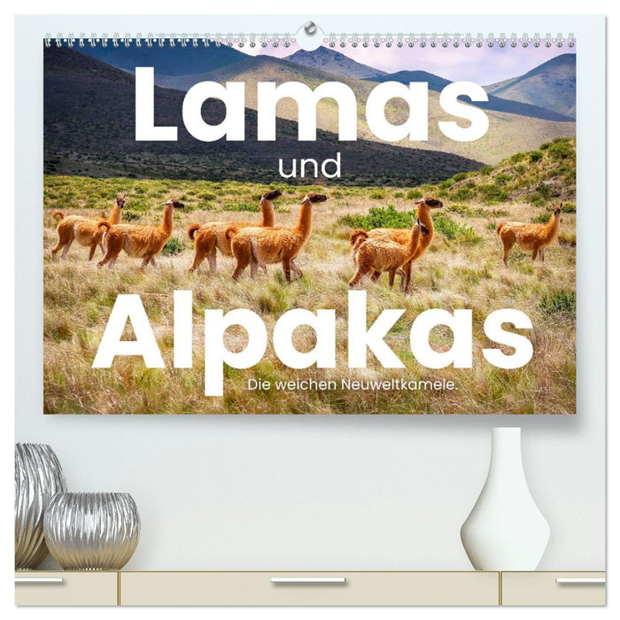 Lamas und Alpakas - Die weichen Neuweltkamele. (CALVENDO Premium Wandkalender 2026)