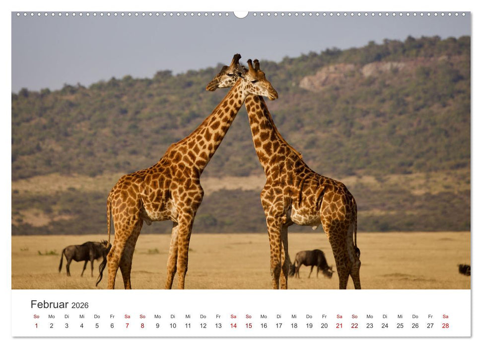 Tansania - Am Fuße des Kilimandscharo. (CALVENDO Premium Wandkalender 2026)