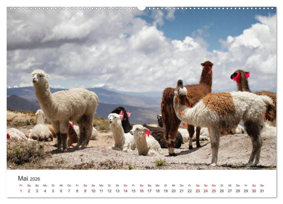 Peru - Das einzigartige Land der Inkas. (CALVENDO Premium Wandkalender 2026)