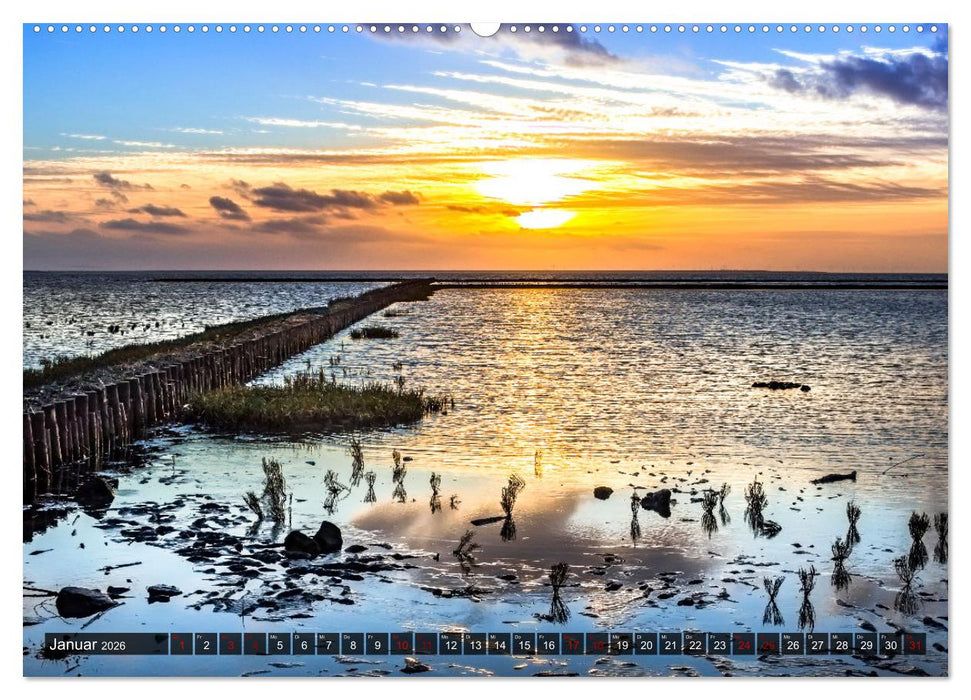 Naturlandschaft WATTENMEER (CALVENDO Premium Wandkalender 2026)