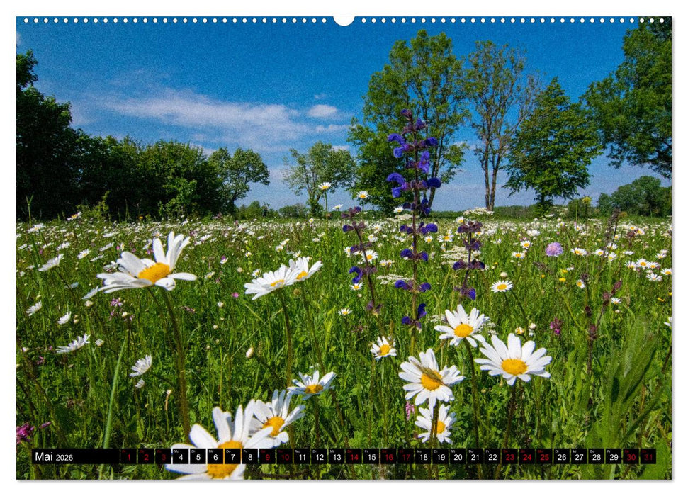 Garching bei München / Die schönsten Ansichten. (CALVENDO Premium Wandkalender 2026)